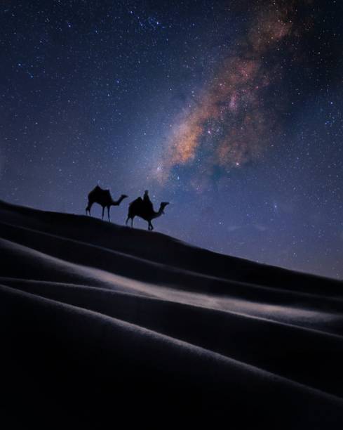 deserto di notte - camel india animal desert foto e immagini stock