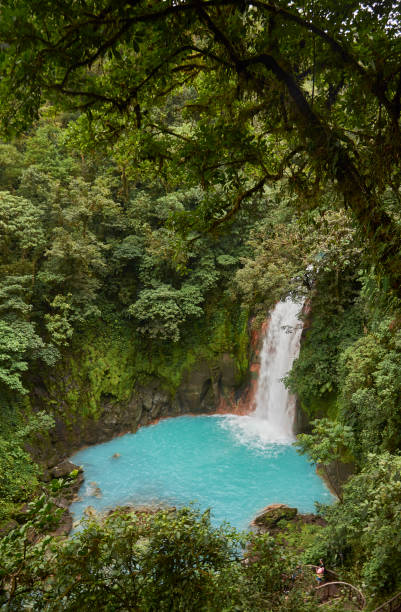 istock Celeste River Waterfall in Tenorio Volcano National Park, Costa Rica 1161008394