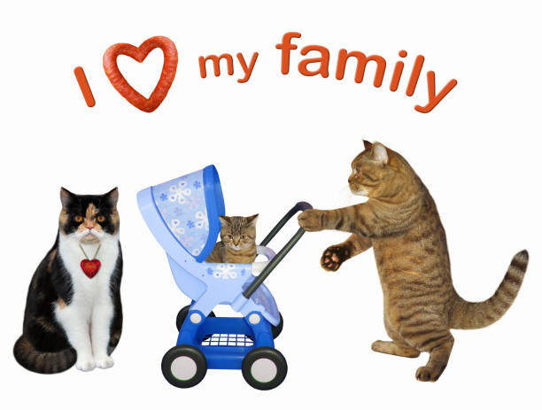 istock Cat couple with their kitten in a stroller 1161011971