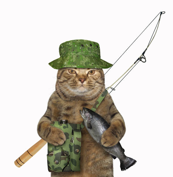 istock Cat fisher holds a caught fish 1161011973