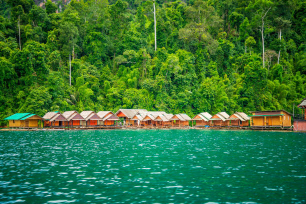 istock Khao Sok national park 1161013283