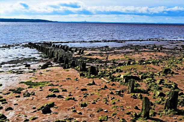 istock Decaying jetty on Humber Estuary, Humberside, England 1161013605