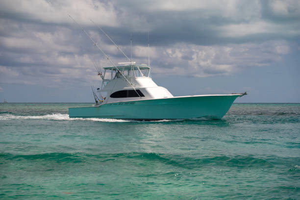 istock Speed boat in miami florida 1161014375