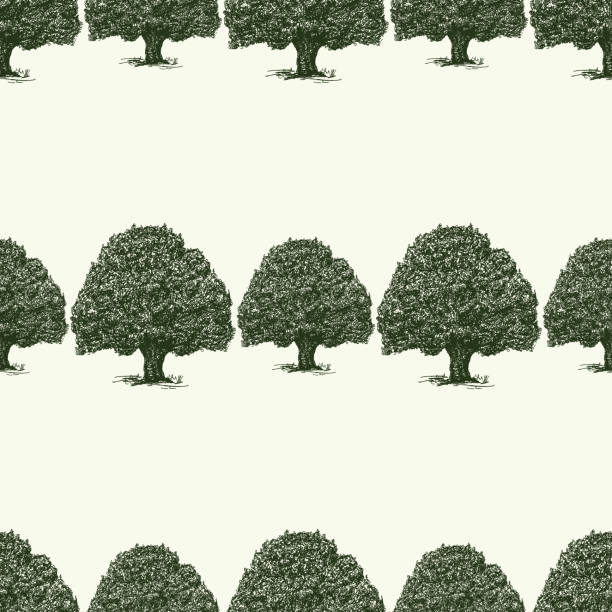 istock Seamless background of sketches of old oak trees 1161015814