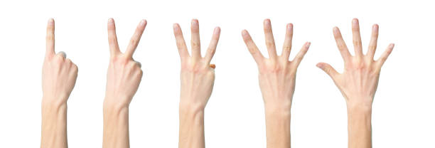 istock a collage of hand signs 1161022514