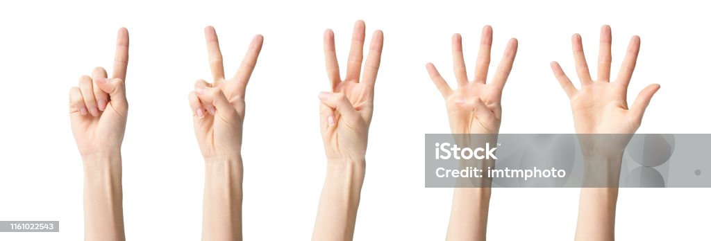 a collage of hand signs a collage of hands showing one two three four five, isolated on white background Hand Stock Photo