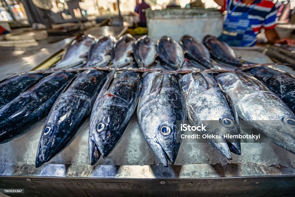 Freshly caught tuna Ð½Ð° ÑÐ¸Ð±Ð½Ð¾Ð¼Ñ Ð±Ð°Ð·Ð°ÑÑ Ð² Bandar Abbas, Iran Business Stock Photo
