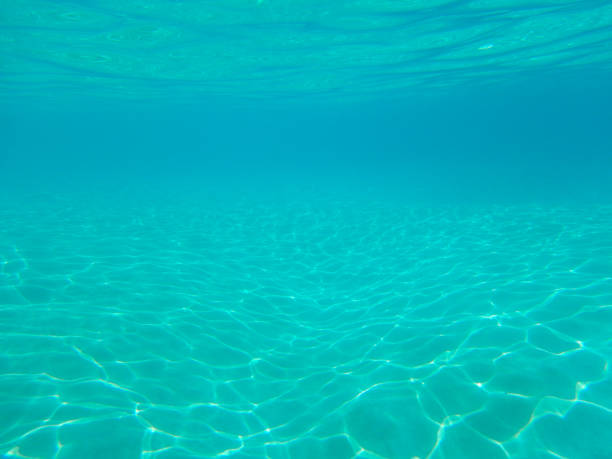 istock tropical blue ocean underwater background - luxury nature pattern 1161026102