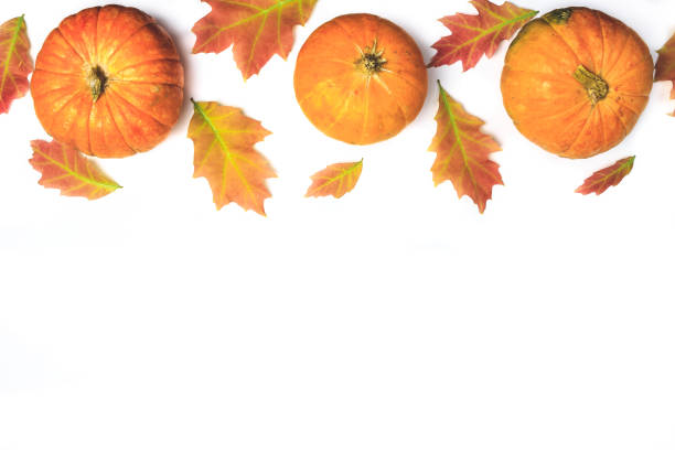 istock Autumn composition with pumpkins and colorfull autumn leaves. 1161028893