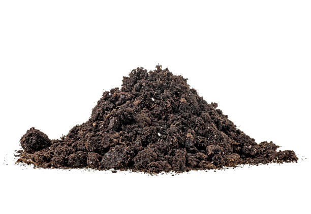 istock Heap of soil isolated on a white background 1161030429