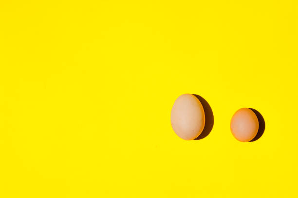 istock An eggs. An eggs in a row. An eggs on a yellow background. 1161032650