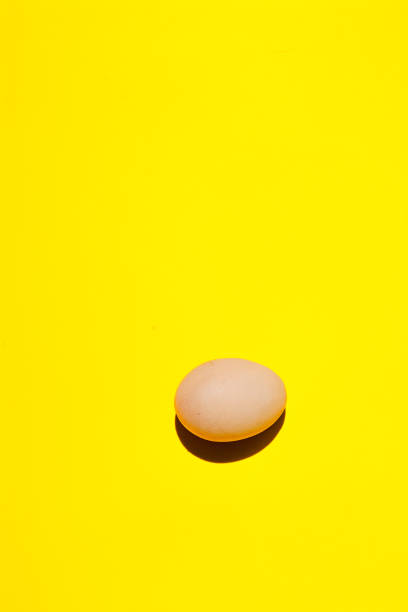 istock An egg. An egg on a yellow background. Egg background close-up. 1161033223