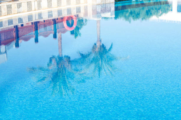 istock Palms reflecting in the pool at resort. 1161033360