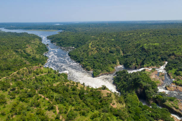 famosas cataratas murchison en nile river, uganda - valle del rift fotografías e imágenes de stock