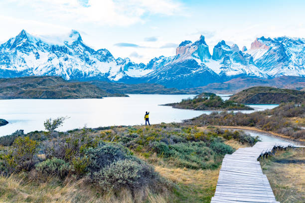 istock Torres del Paine National Park, Chile. (Torres del Paine National Park) 1161033529