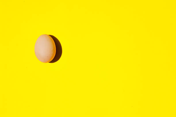 istock An egg. An egg on a yellow background. Egg background close-up. 1161033612