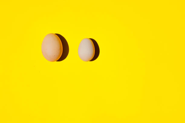 istock An eggs. An eggs in a row. An eggs on a yellow background. 1161033659