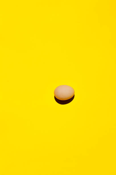 istock An egg. An egg on a yellow background. Egg background close-up. 1161033685