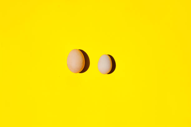 istock An eggs. An eggs in a row. An eggs on a yellow background. 1161033689