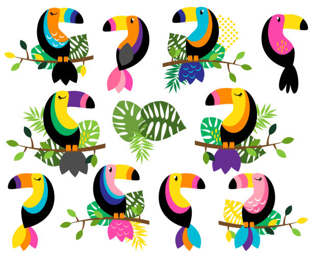 Vector Collection of Bright and Colorful Toucans and Tropical Leaves Vector Collection of Bright and Colorful Toucans and Tropical Leaves rainbow toucan stock illustrations