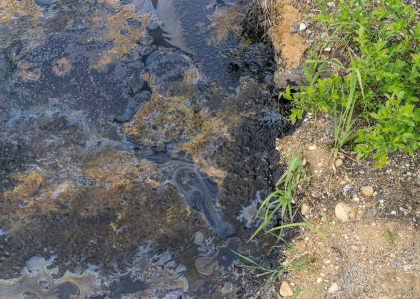 istock Soil pollution with fuel oil and bitumen 1161037044
