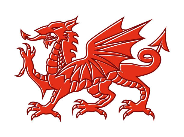 Welsh red Dragon on white background, Vector illustration of Fantasy Monster illustrated on national flag on Wales. Welsh red Dragon on white background - Vector illustration of Fantasy Monster illustrated on national flag on Wales. welsh culture stock illustrations