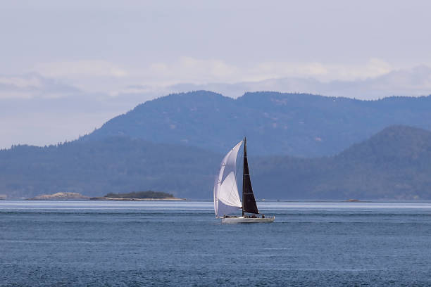 istock Out sailing on calm water. 1161040851