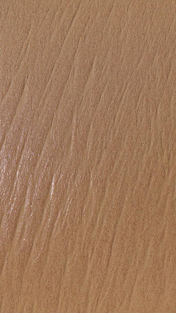 istock Sand on the beach. Wet sand on a tropical beach 1161040855