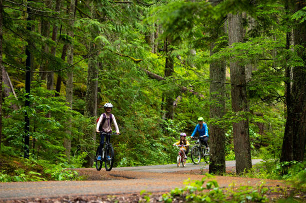 istock Mother cycling with children in forest 1161050635