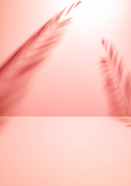 istock Two palm fronds casting shadows on a coral, pink, wall 1161052030