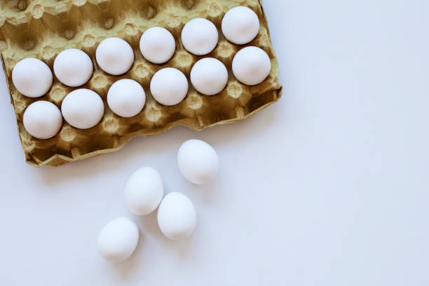 egg, chicken egg on white background - packing duck imagens e fotografias de stock