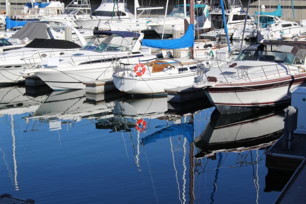 istock Boat Dock in Long Beach California with multiple boats 1161055564