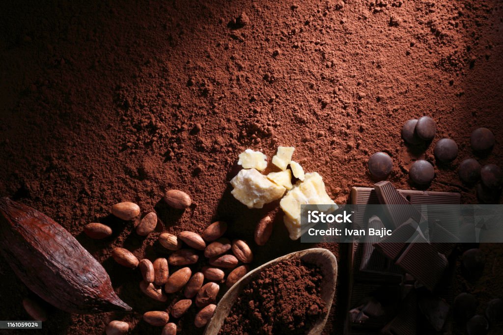 Chocolate with Cocoa Fruit All the stages of chocolate.  Cocoa pod, cocoa beans, cocoa butter, cocoa powder and dark chocolate on wooden table. Chocolate Stock Photo