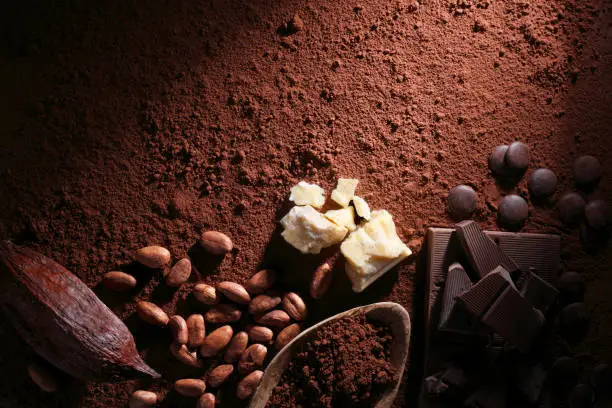 All the stages of chocolate.  Cocoa pod, cocoa beans, cocoa butter, cocoa powder and dark chocolate on wooden table.