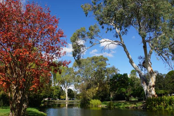 Tranquil Autumn Lake Scene on a Sunny Day