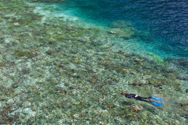 istock Snorkeler Exploring Shallow Coral Reef 1161061635