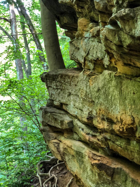 istock Green and brown rocks on mountainside at state park 1161063832