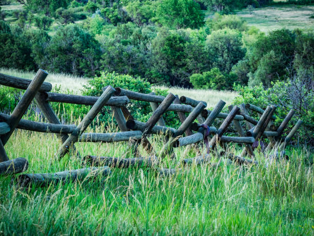 istock Rural Scene with Wooden Fence 1161063929