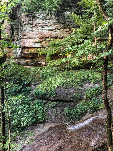istock Rock wall and small stream in Indiana state park 1161063959