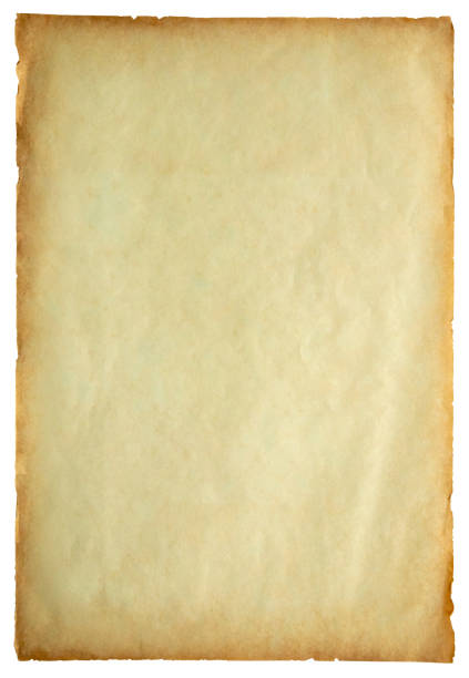 vecchia trama di foglio di carta vintage isolata su sfondo bianco - parchment scroll paper document foto e immagini stock