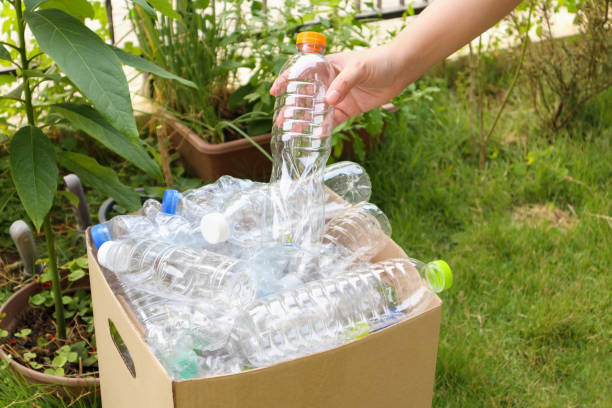 istock Hand hold and put plastic bottles in to brown recycle garbage box 1161067383