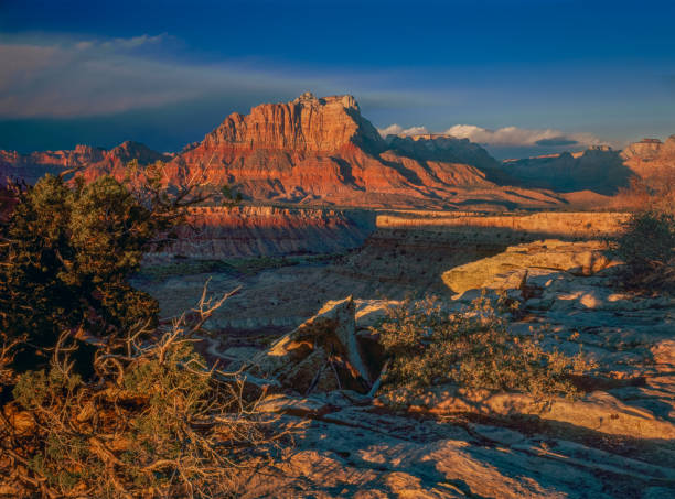 istock MOUNT KINESAVA ZION NATIONAL PARK UTAH 1161067436