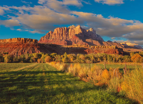 istock MOUNT KINESAVA ZION NATIONAL PARK UTAH 1161067528