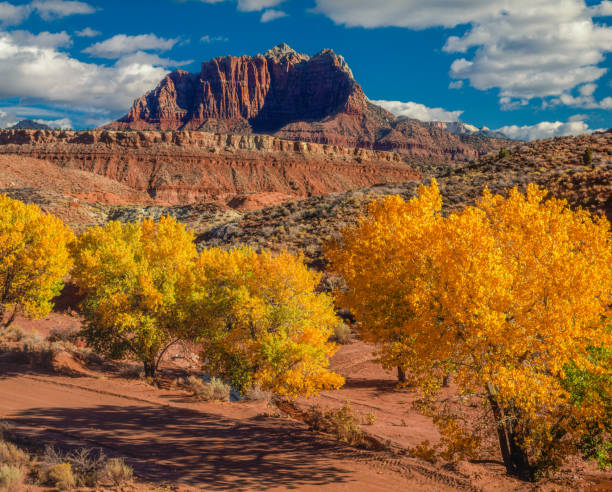 istock MOUNT KINESAVA ZION NATIONAL PARK UTAH 1161067548