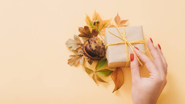 istock autumn birthday gift box fall chestnut decor 1161068421