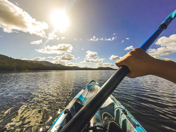 kayaking paddle canoe oar in water lake water sea river in Gold Coast Australia stock photo