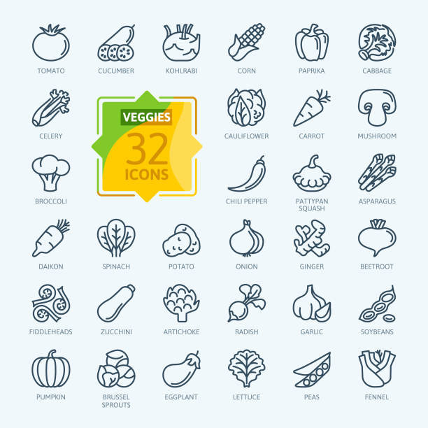 Vegetarian, vegetable, veggies - minimal thin line web icon set. Outline icons collection. Vegetarian, vegetable, veggies - minimal thin line web icon set. 
Included the simple vector icons as tomato, cucumber, kohlrabi, cauliflower, pattypan squash, fiddleheads,
daikon. Outline icons collection. fiddle head stock illustrations