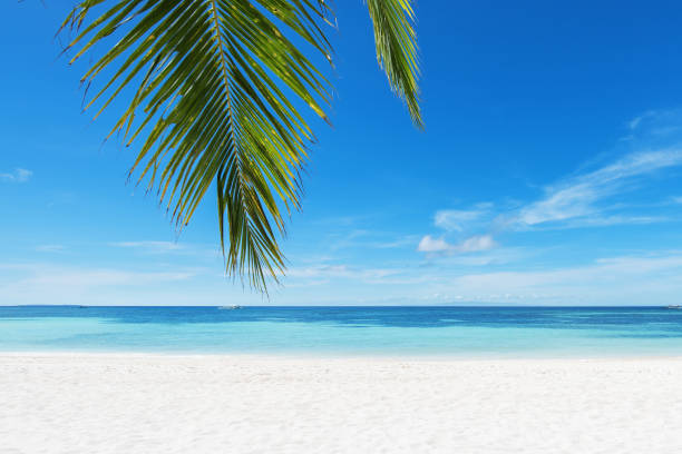 istock Tropical paradise beach and beautiful seascape 1161074558