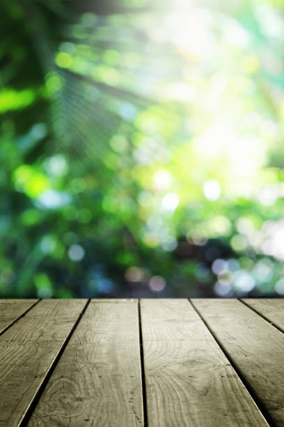 istock Blurred abstract green bokeh and wooden table background. 1161075720