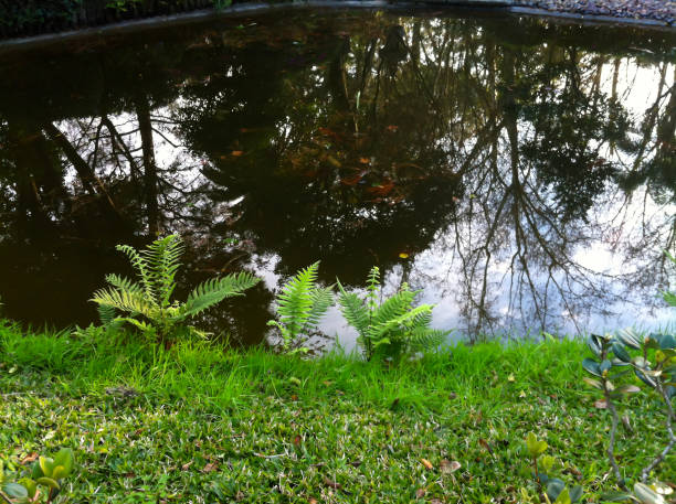 Waterfall in the park garden